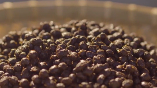 豆香千年:潼川豆豉的非遗传承与时代新生