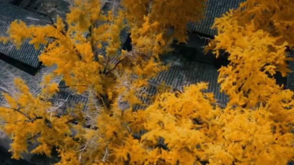 新·梓州八景——琴泉神韵 千年流芳