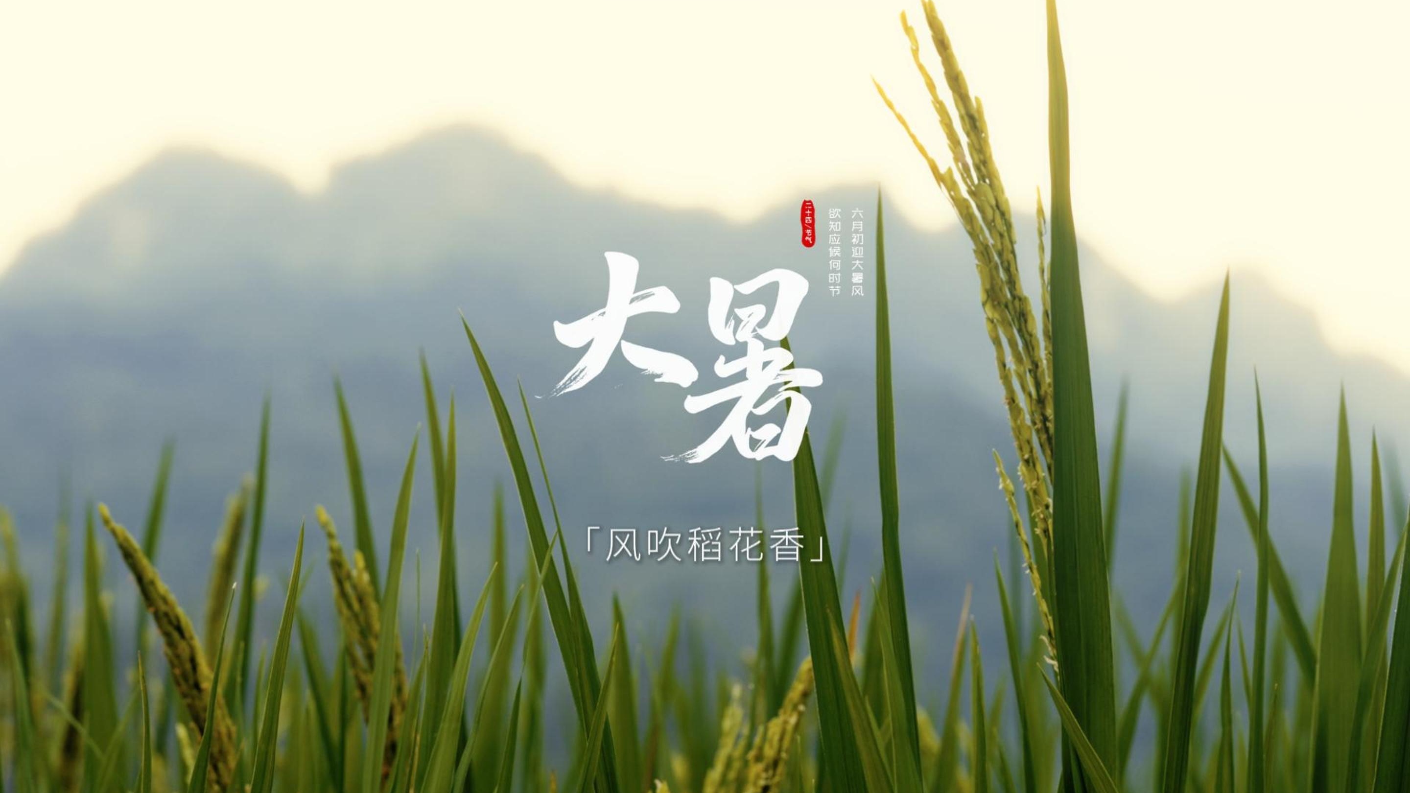 中国农时•二十四节气——大暑