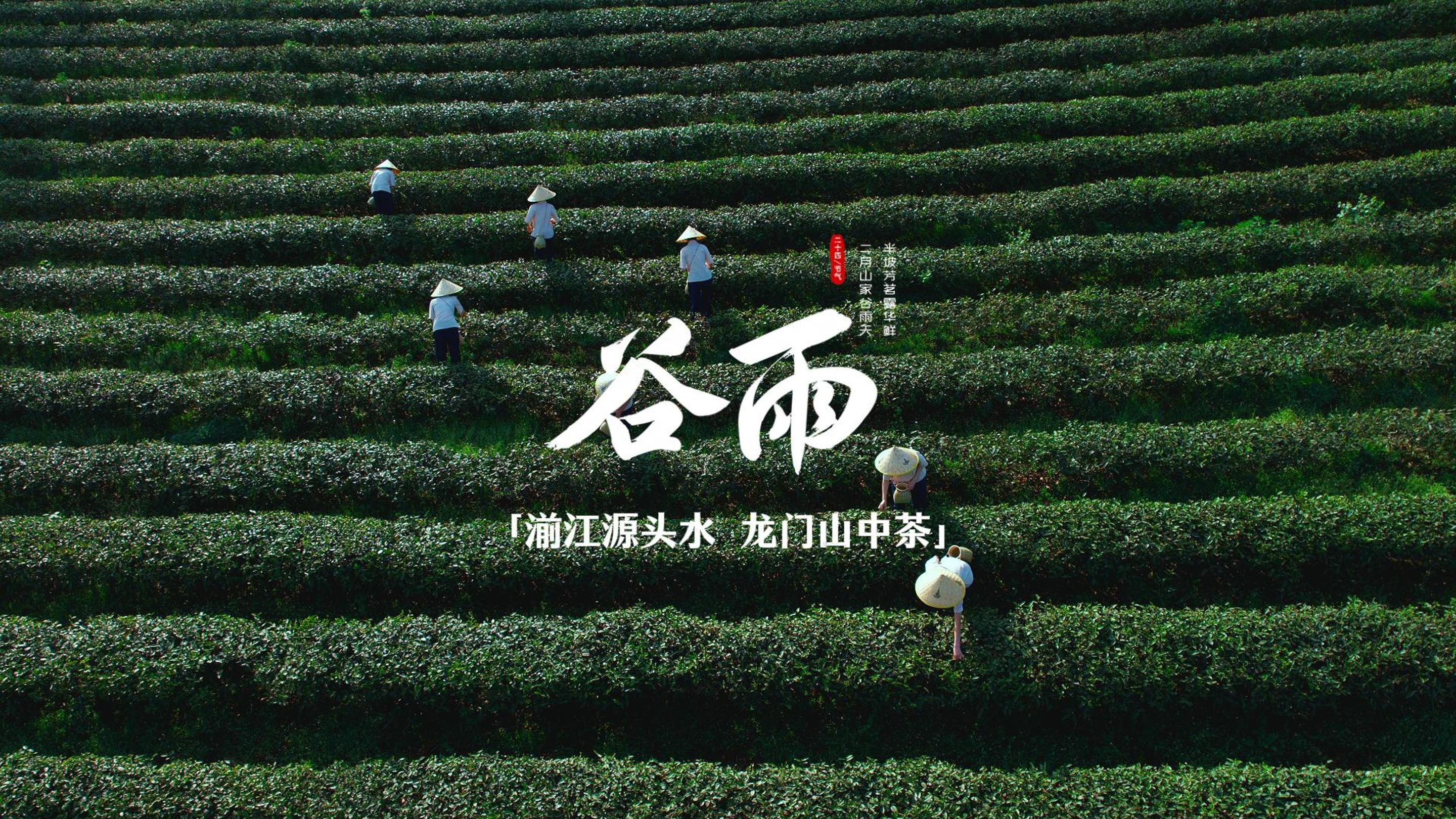 中国农时•二十四节气——谷雨