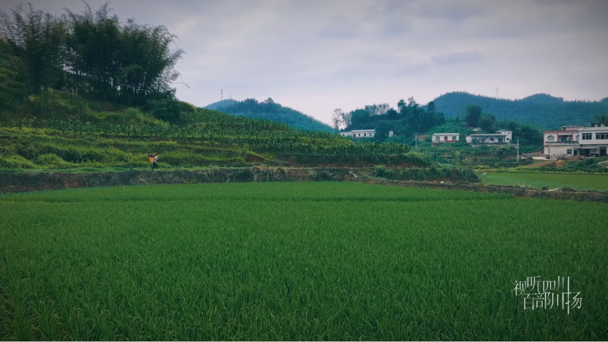 食在兴文——手工黄粑