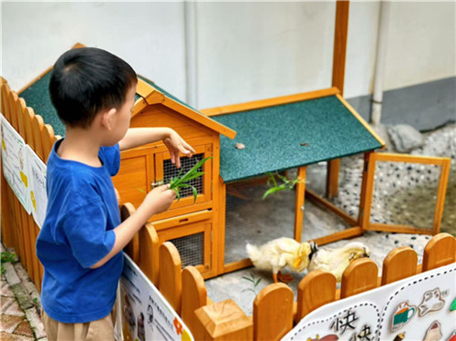 20250926_084410_015.jpg 20250926_084410_015.jpg