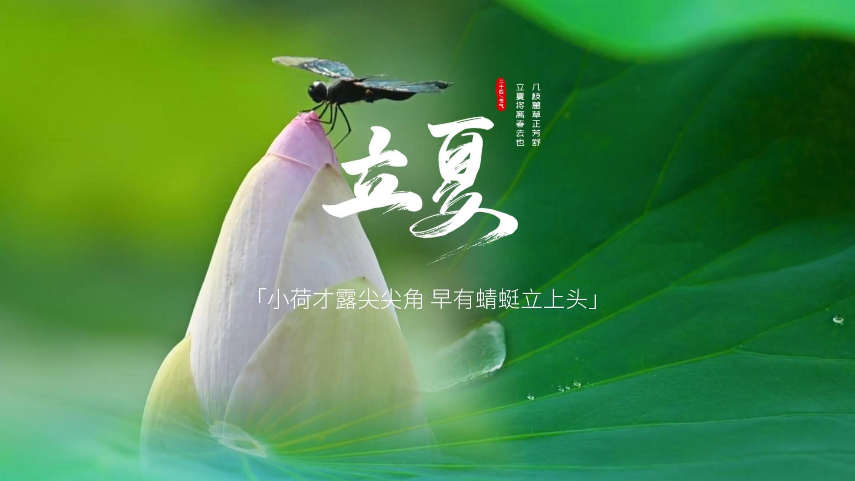 中国农时•二十四节气——立夏