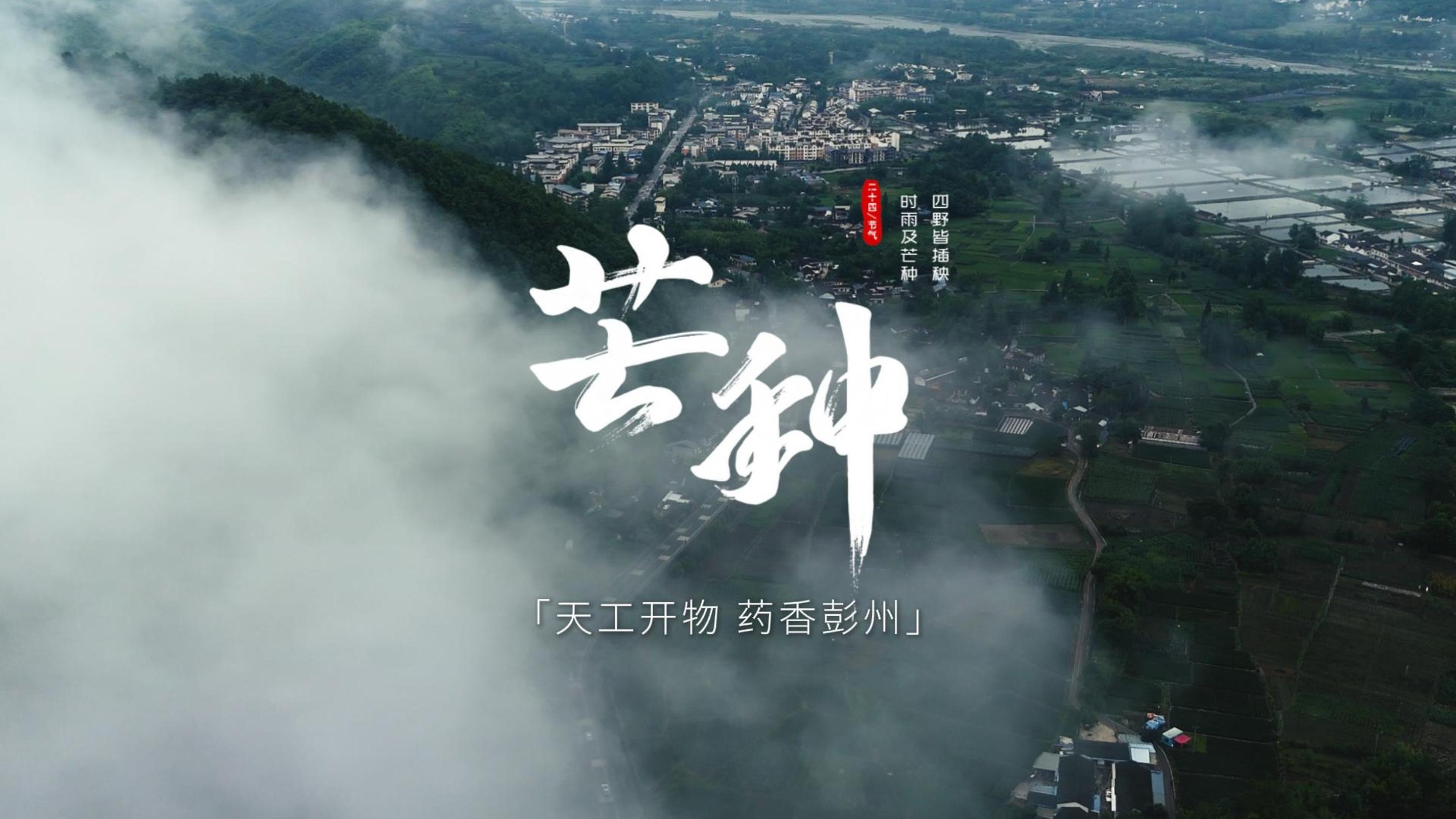 中国农时•二十四节气——芒种