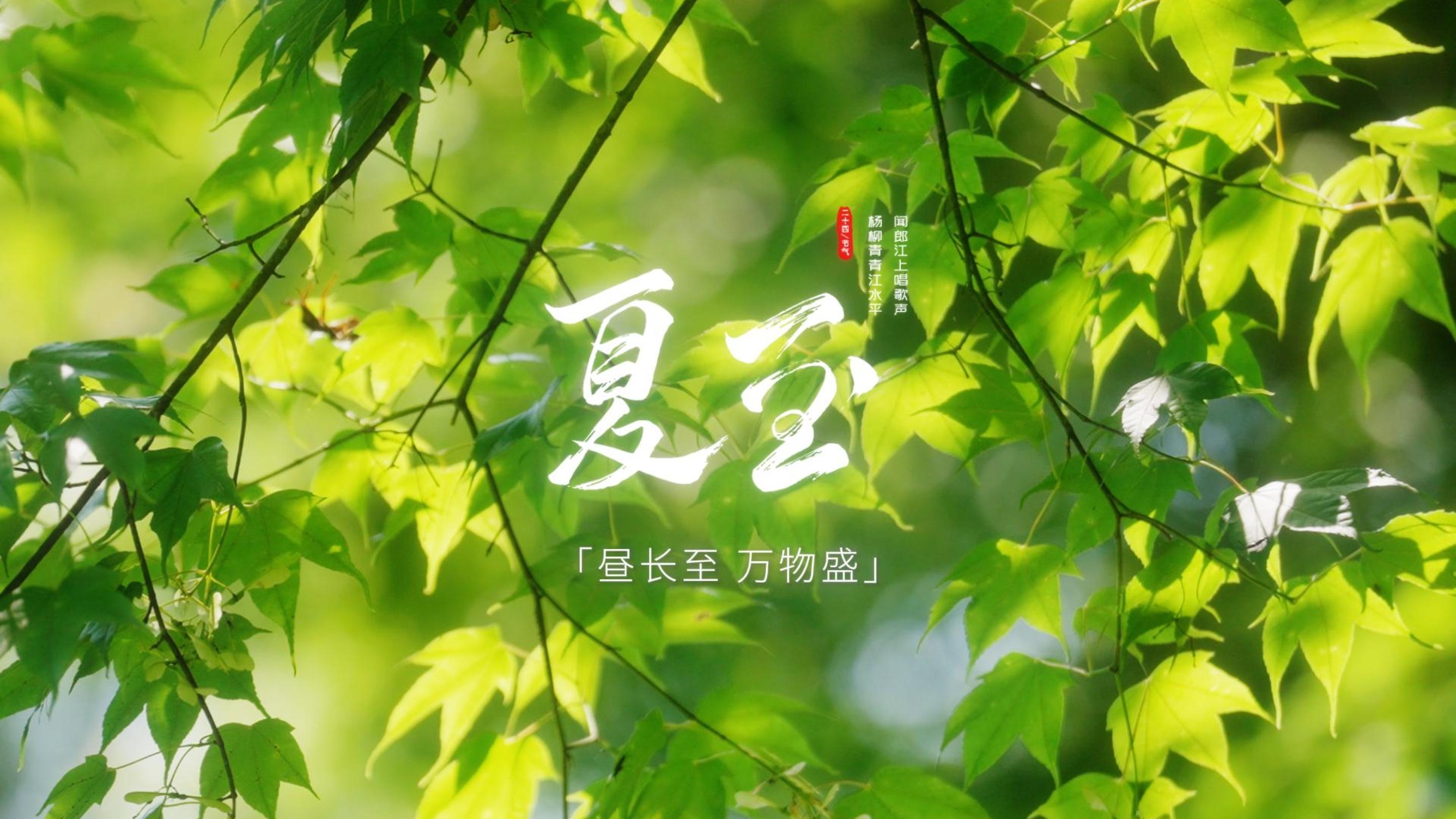 中国农时•二十四节气——夏至