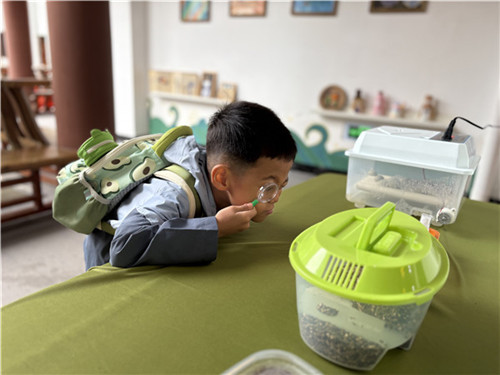 20250926_084410_016.jpg 20250926_084410_016.jpg