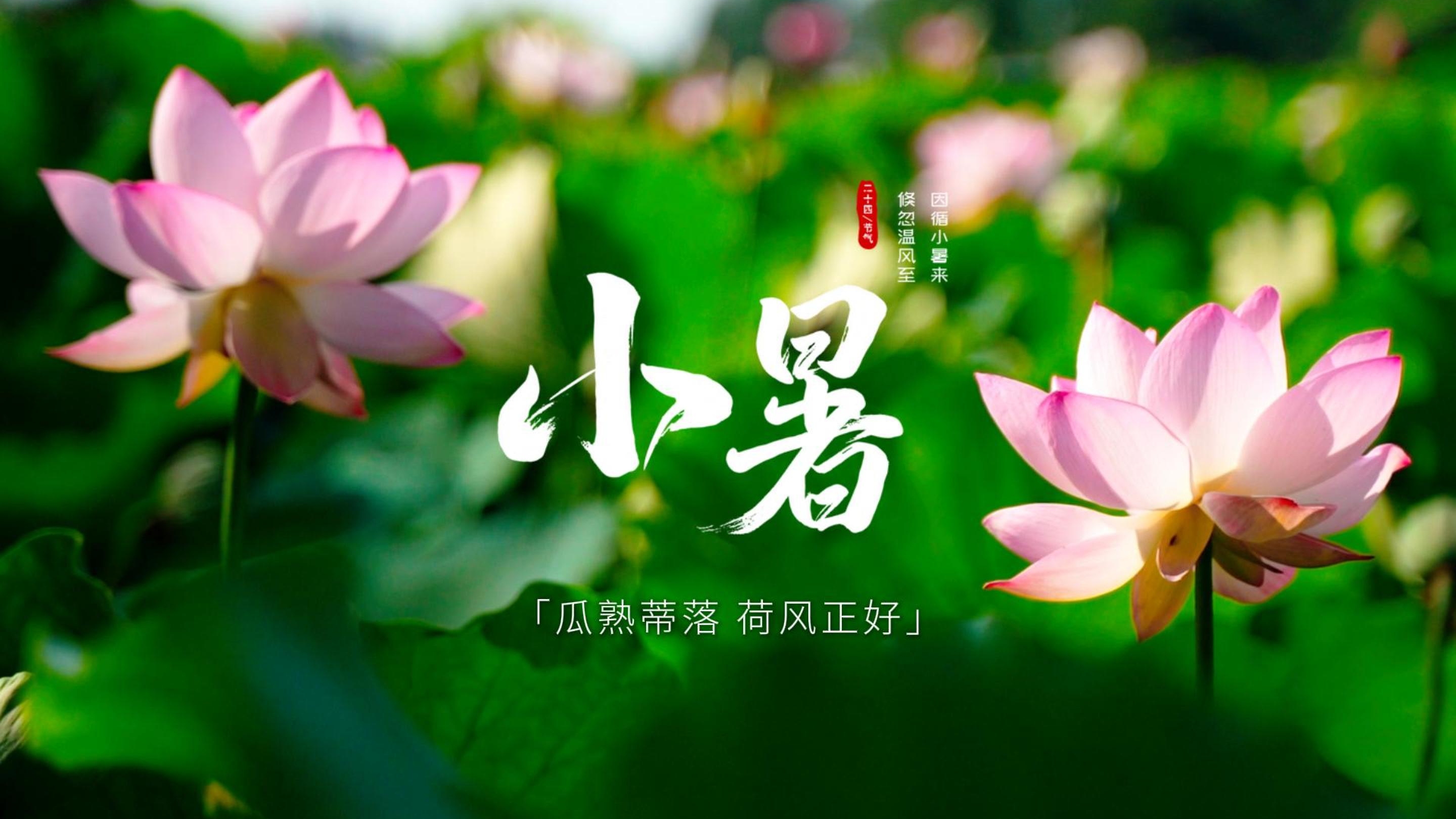中国农时•二十四节气——小暑