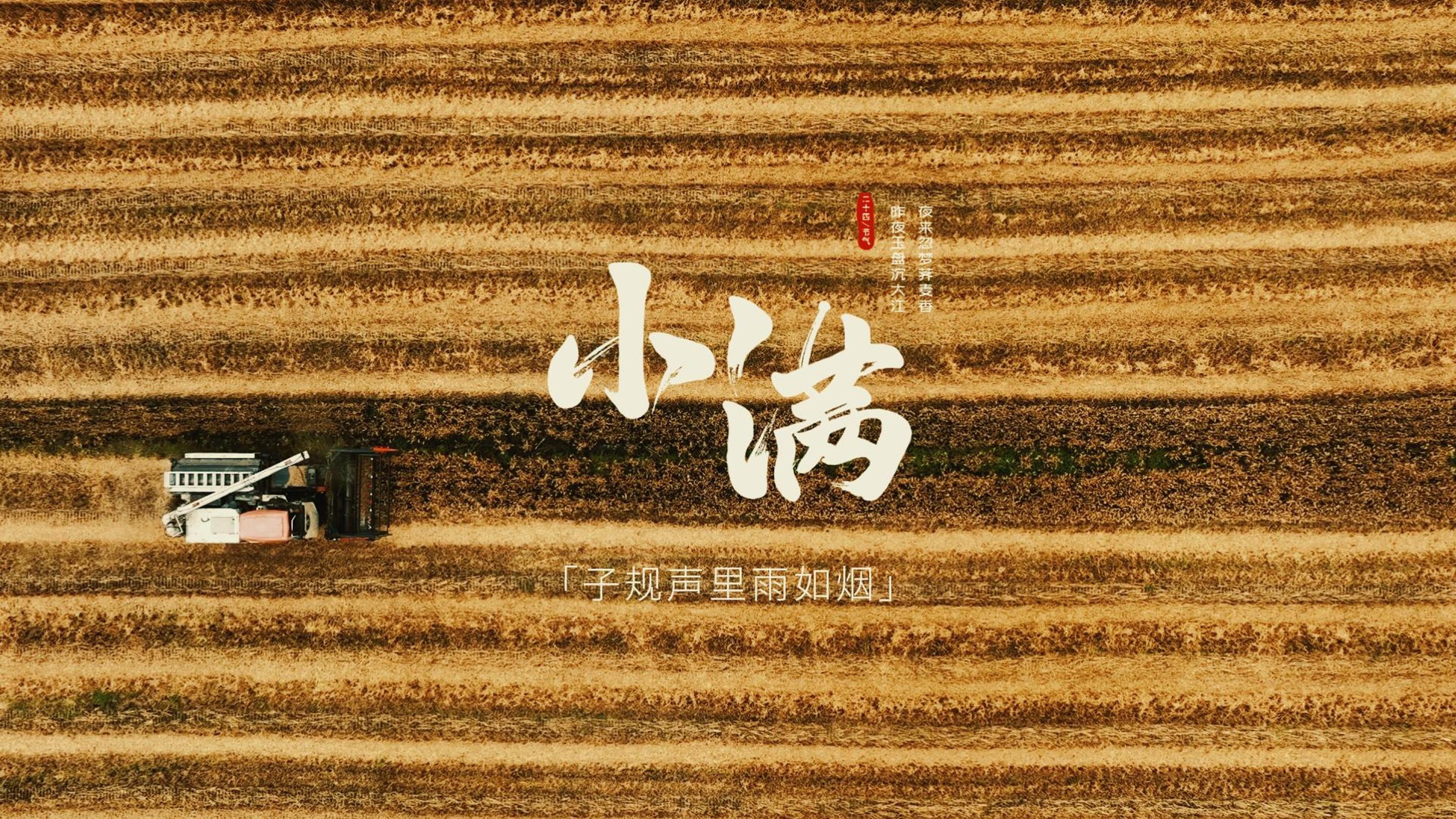 中国农时•二十四节气——小满