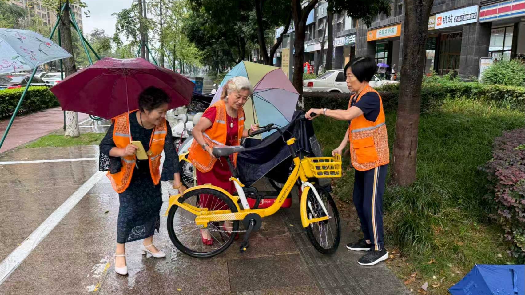 “净优亮美”齐发力，共建共治展新颜丨石羊街道盛华社区街区治理在行动