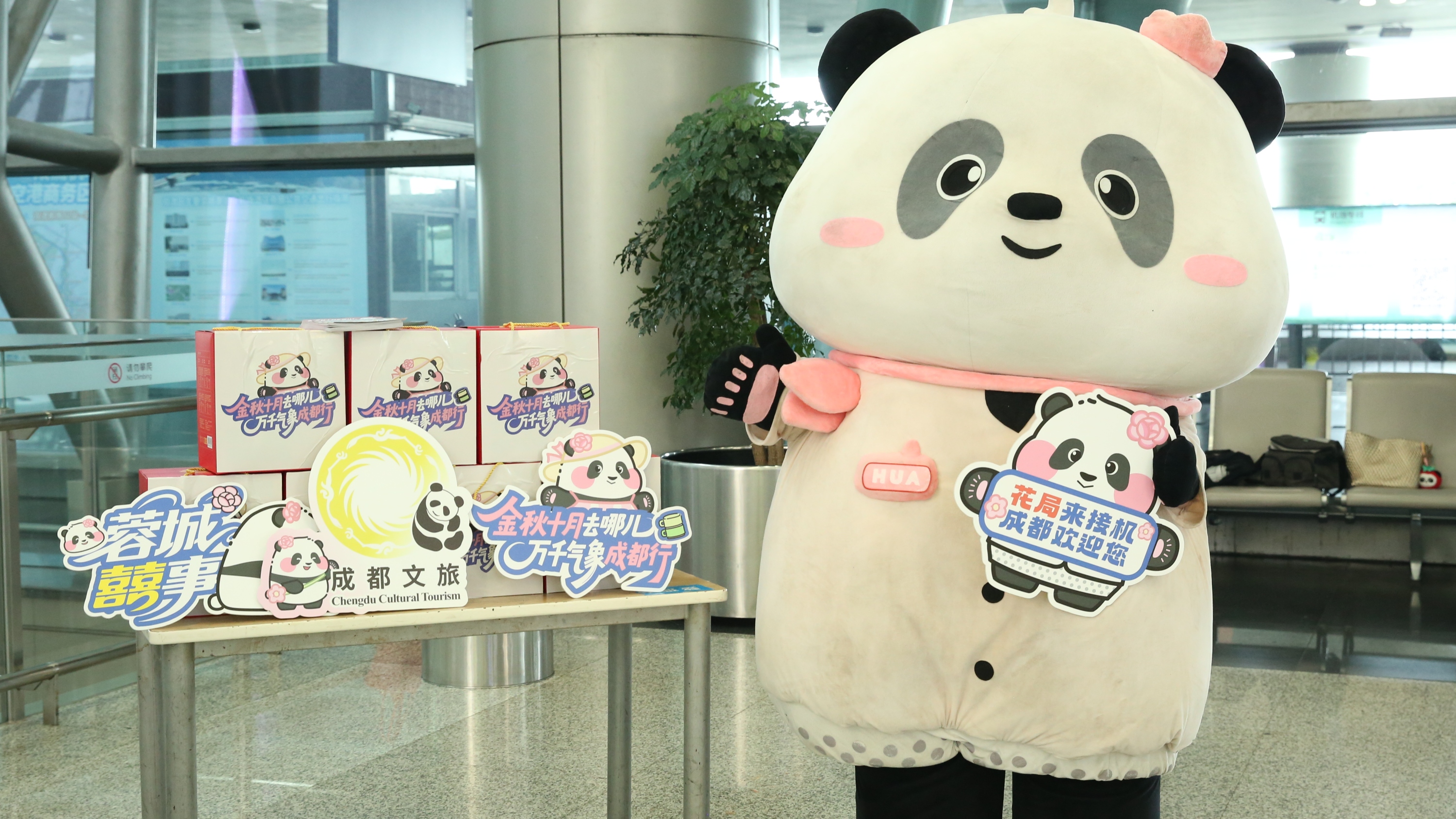 双节同庆迎游客 成都文旅“花局”机场送惊喜