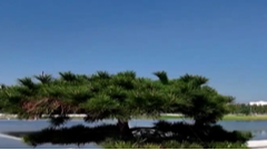 10月8日直播in成都