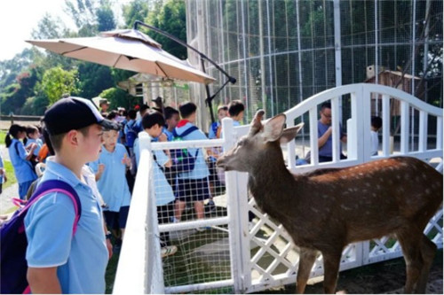 20251010_092827_027.jpg 20251010_092827_027.jpg