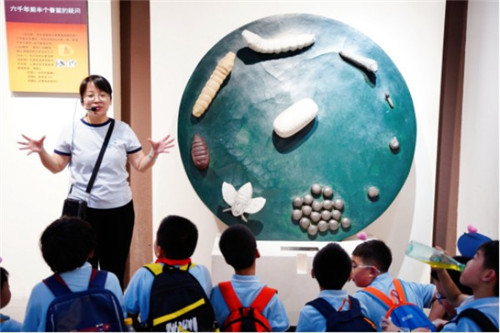 20251010_092827_025.jpg 20251010_092827_025.jpg