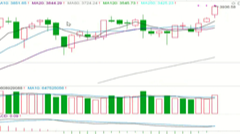 2025/10/9每日财经