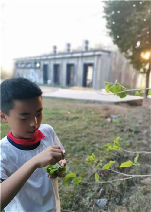 20251013_151747_335.jpg 20251013_151747_335.jpg