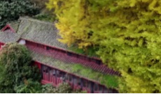 10月12日成都全接触