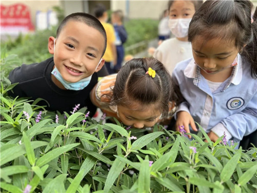 20251013_151430_315.jpg 20251013_151430_315.jpg