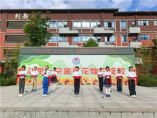 20251015_152538_271.jpg 20251015_152538_271.jpg