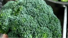 10月15日养老全接触