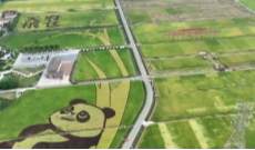 10月16日成都全接触