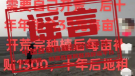 编造“新娘向摄影师发涉黄信息”谣言者被行拘——今日辟谣（2025年10月17日）