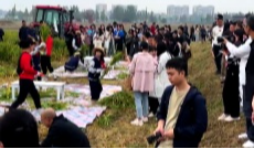 10月17日幸福观察