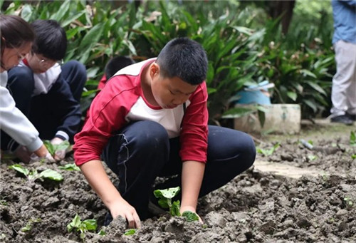 20251021_142155_173.jpg 20251021_142155_173.jpg