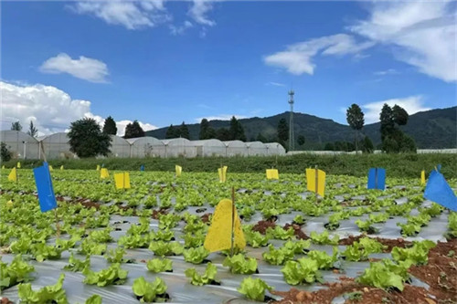 20251023_091417_054.jpg 20251023_091417_054.jpg