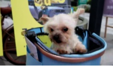 2025年10月22日《幸福社区》