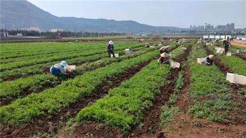 20251023_091417_055.jpg 20251023_091417_055.jpg