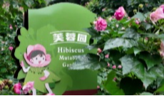 10月23日幸福188