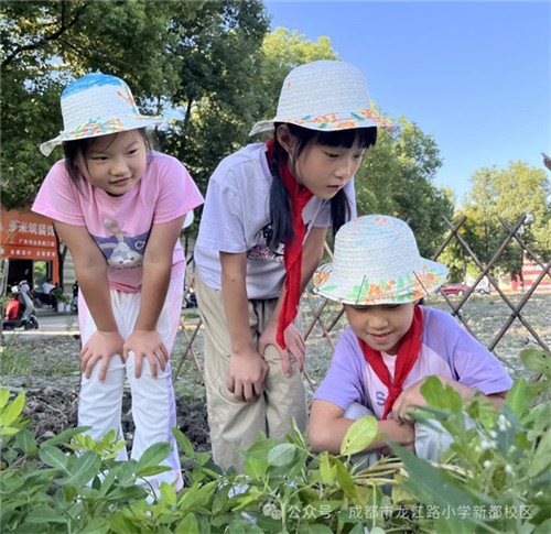 20251029_105918_154.jpg 20251029_105918_154.jpg