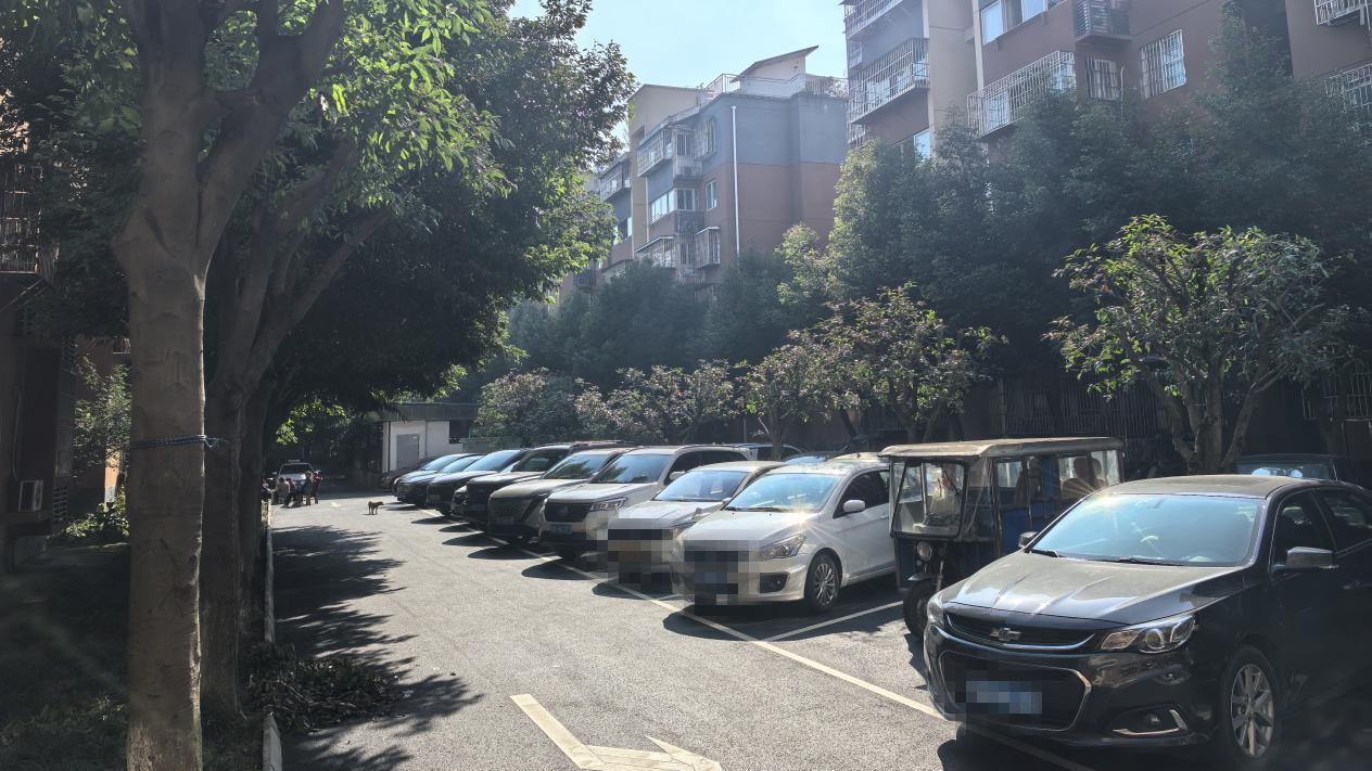 “堵点”变“亮点”！合作街道这一变化，居民直呼“改到心坎上”