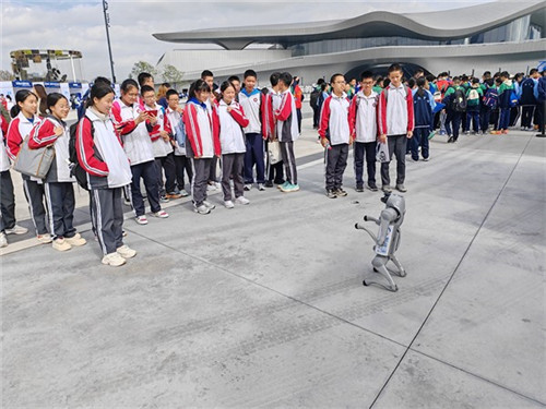 20251030_160643_244.jpg 20251030_160643_244.jpg