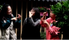 10月29日幸福观察