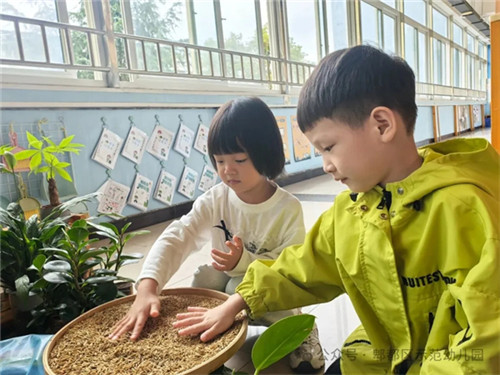 20251031_172824_354.jpg 20251031_172824_354.jpg