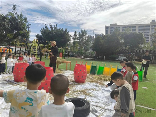 20251031_172824_353.jpg 20251031_172824_353.jpg