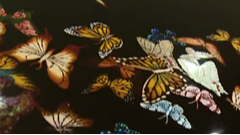 匠心传承，看成都非遗“活”起来