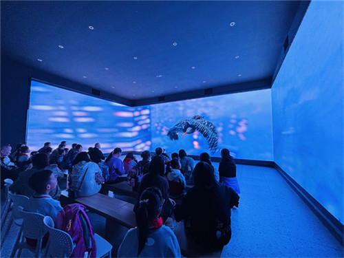 20251104_145028_180.jpg 20251104_145028_180.jpg