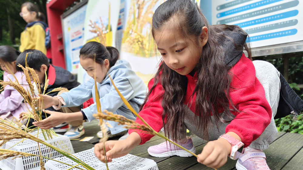 合作街道中海社区小居民解锁“节约密码”  体验不负“食”光新风尚