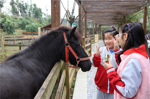 20251104_145028_184.jpg 20251104_145028_184.jpg