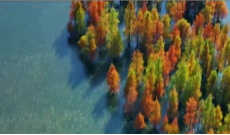 2025年11月4日《幸福社区》