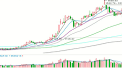 2025/11/4每日财经