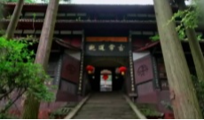 11月4日幸福观察