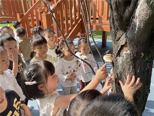 20251106_091413_028.jpg 20251106_091413_028.jpg