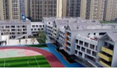 11月5日深夜快递