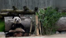 11月5日幸福观察