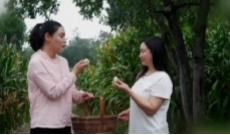 11月6日幸福观察