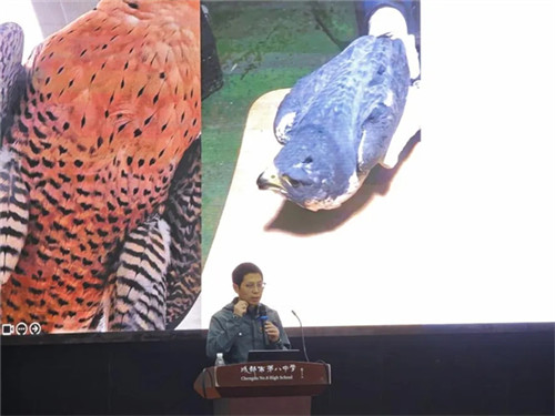 20251110_153922_256.jpg 20251110_153922_256.jpg