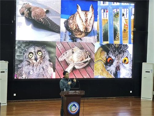 20251110_153922_259.jpg 20251110_153922_259.jpg